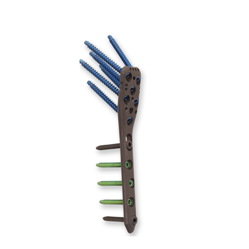 Proximal Humeral Locking Plate