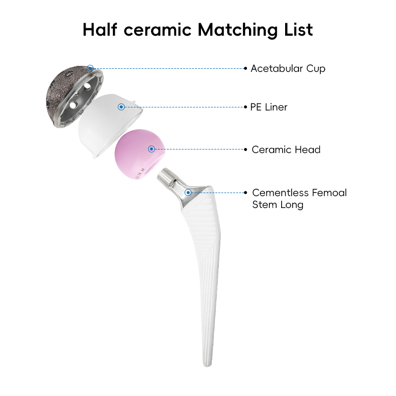 Cementless Femoal Revision Stem