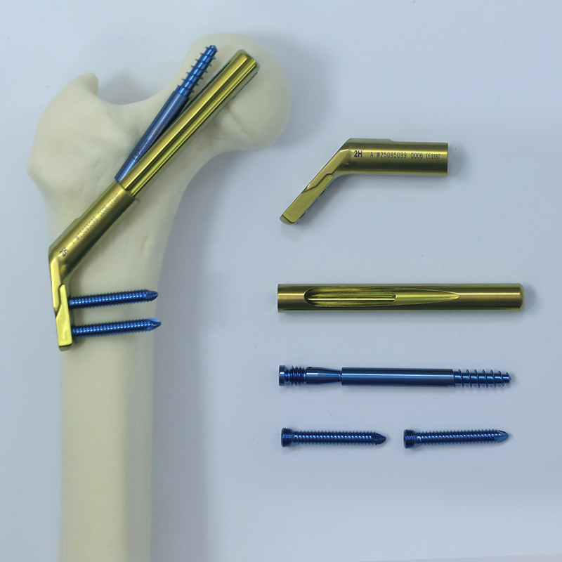FNS (Femoral Neck System)