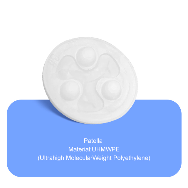 Patella