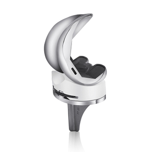 Primary Total Knee System