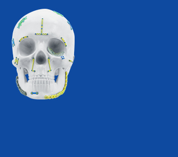 MaxilloFacial Place систем