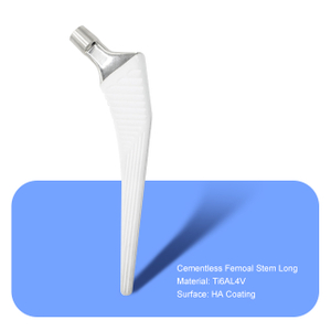 Cementless Femoal Stem Long