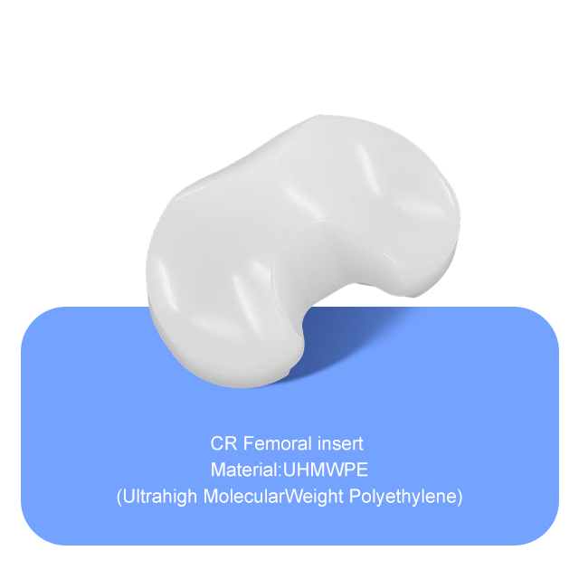 CR Femoral insert