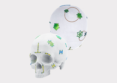 Customized Neuro3D Mesh