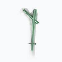 Intramedullaire nagel