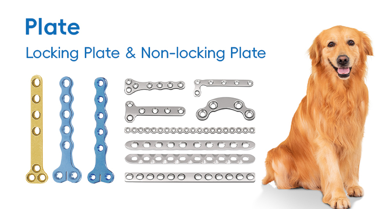 Veterinary Plate