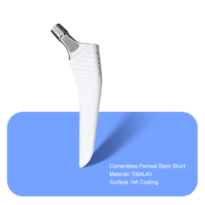 Cementless Femoal Stem Short