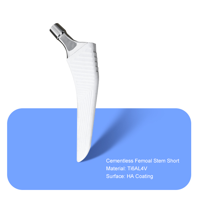 Cementless Femoal Stem Short