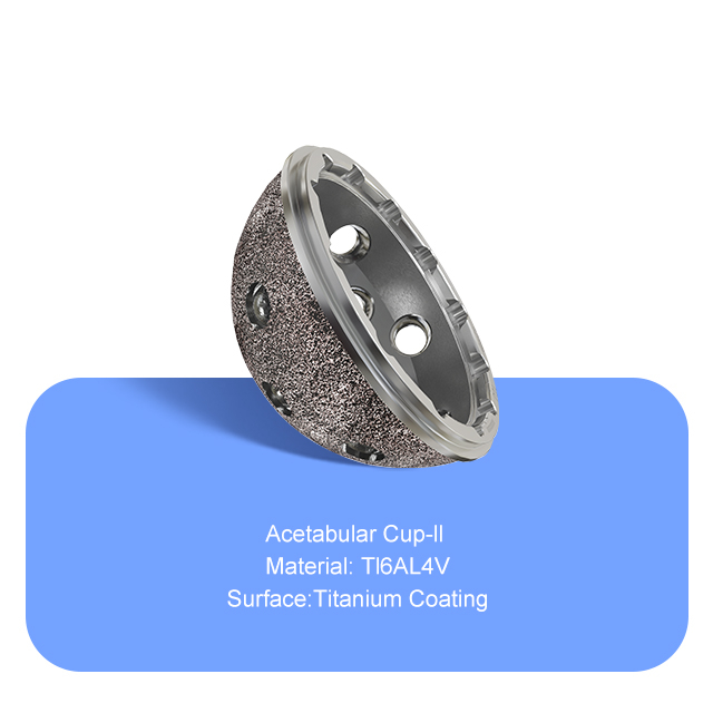 Acetabular Cup-ll