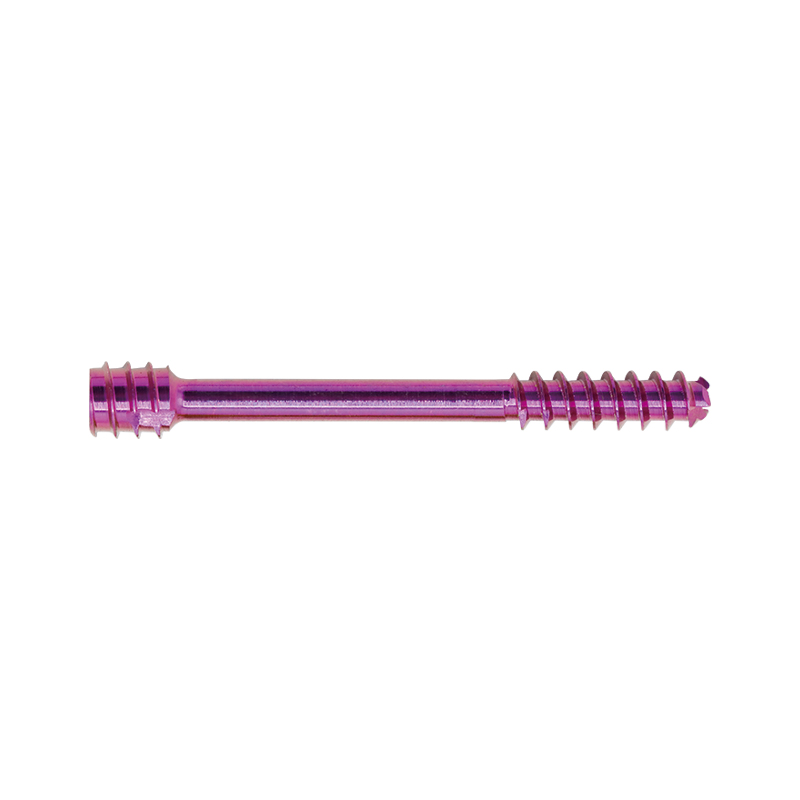 Herbert Cannulated Compression Screw