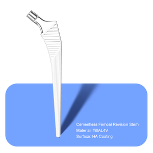 Cementless Femoal Revision Stem