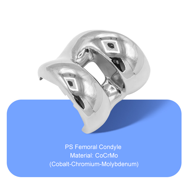 PS Femoral Condyle