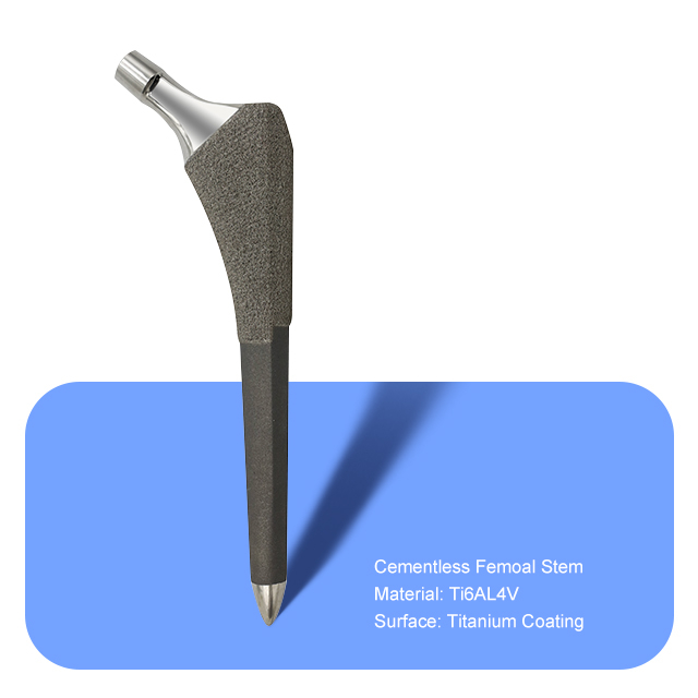 Stemê Femoal Cementless (Coating Titanium)