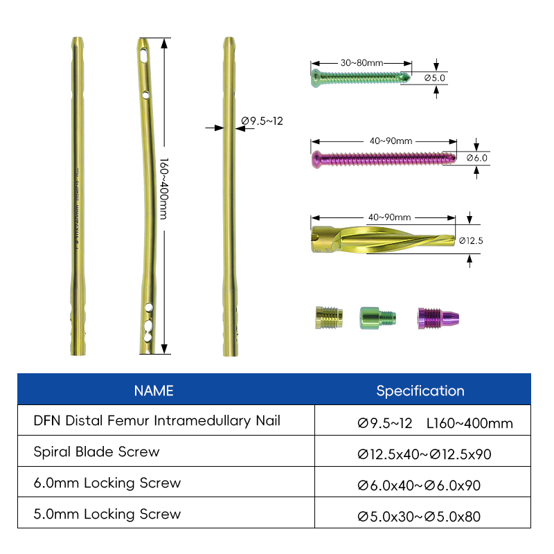 DFN Distal Femur Intramedullary Nail T1100-46