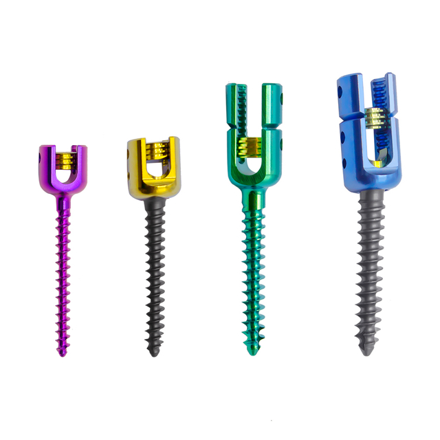 6.0 Spinal Pedicle Screw System