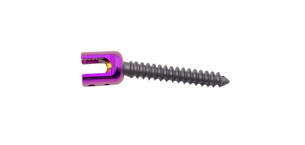  pedicle screws
