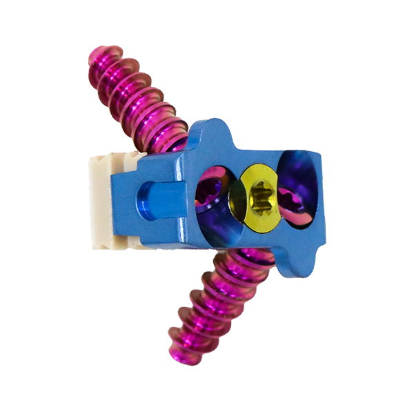 cervicale Cage2