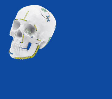 ШИЛДЭГ ТӨЛӨВЛӨГӨӨ