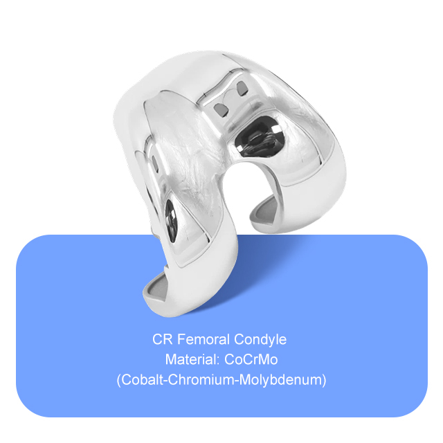 CR Femoral Condyle