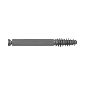 Lag Screw Hex Type