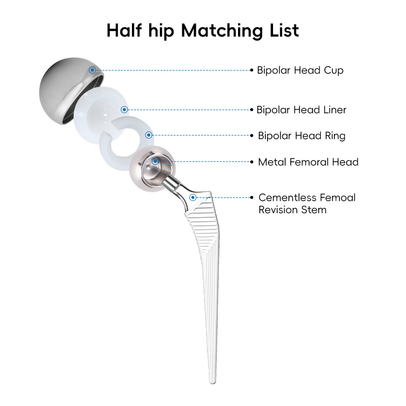 Cementless Femoal Revision Stem