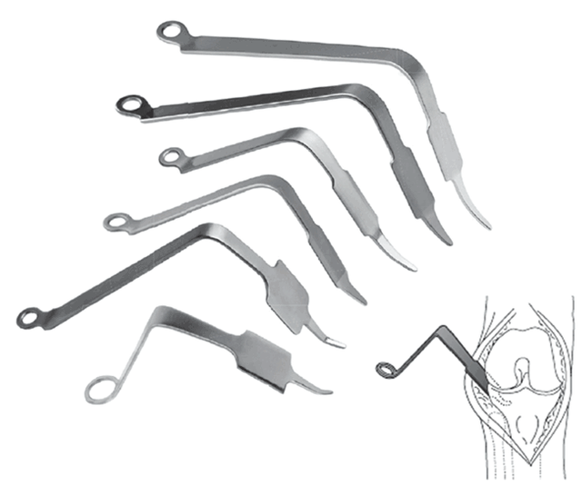 rechert acetabulum hook