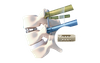 RAFUS PEEK Kavez