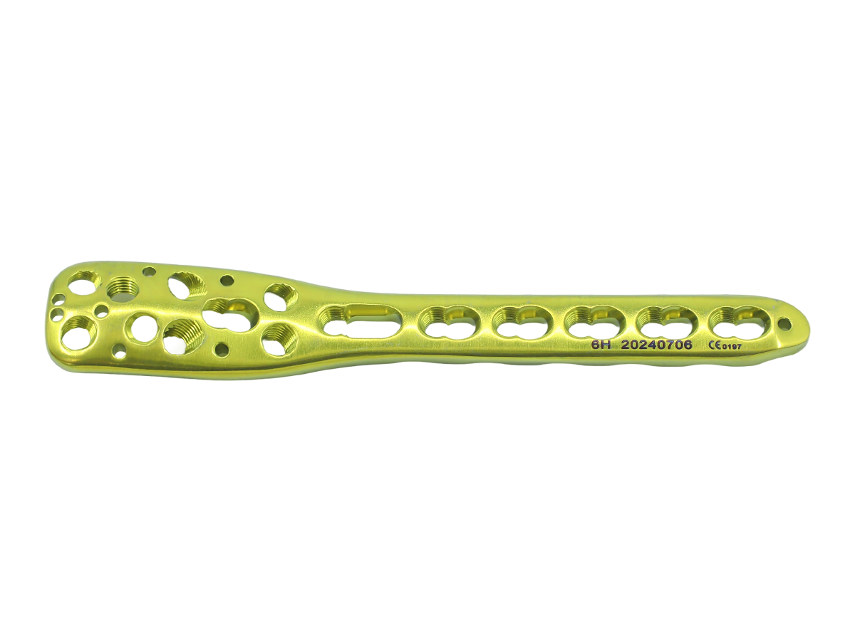 Proximal Humeral Locking Plate CZMEDITECH