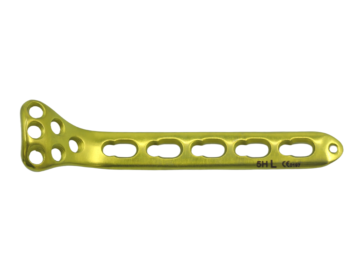 Proximal Radius Locking Plate CZMEDITECH