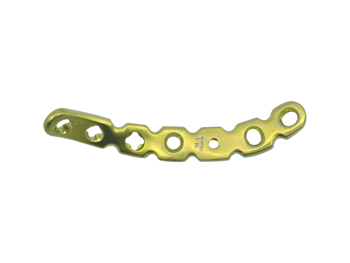Anterior Pelvic Plate CZMEDITECH