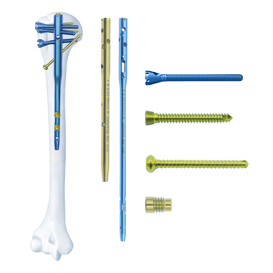 CZMEDITECH Multi-lock Humeral Intramedullary Nail System