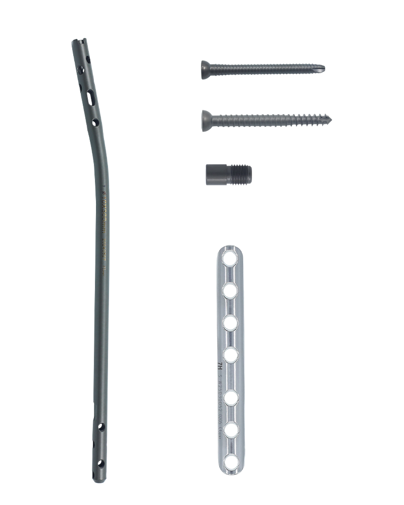 Expert-grade tibial nail, one-third circular plate and fixation screws