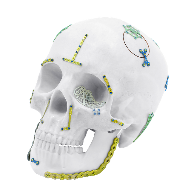 Cranial & Maxillofacial