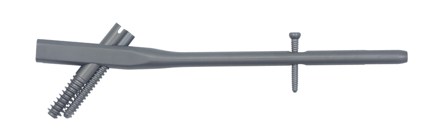 Intertan intramedullary nail