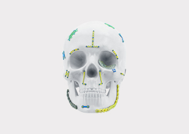 Maxillofacial Plates-czmeditech