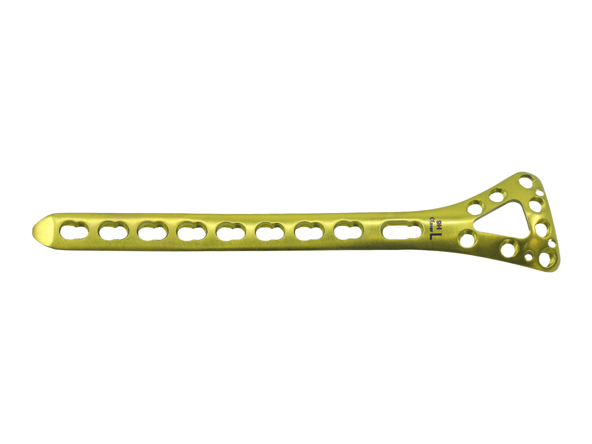Distal Dorsal Radial Delta Locking Plate - Design I CZMEDITECH