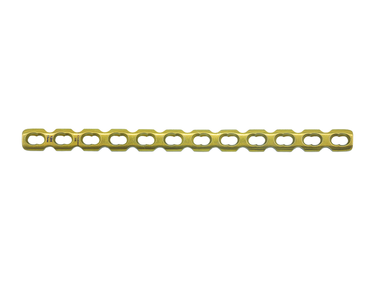 Straight Reconstruction Locking Plate CZMEDITECH